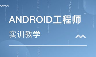 重慶上清寺軟件開發(fā)培訓班綜合指南 排名與禮儀服務須知